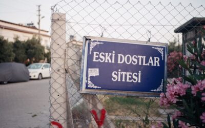 Mutilarea atenției: Cum îți scade coeficientul intelectual la fiecare notificare ignorată.